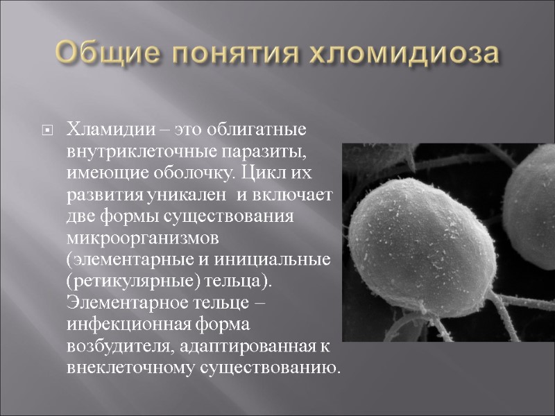 Общие понятия хломидиоза Хламидии – это облигатные внутриклеточные паразиты, имеющие оболочку. Цикл их развития